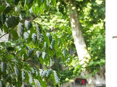 -Money Shops(愚园路店)