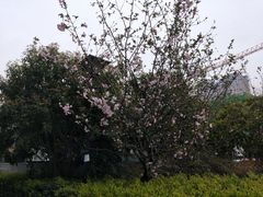 -范湖(地铁站)