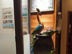 -竹雀古法采耳(青岛麦凯乐店)