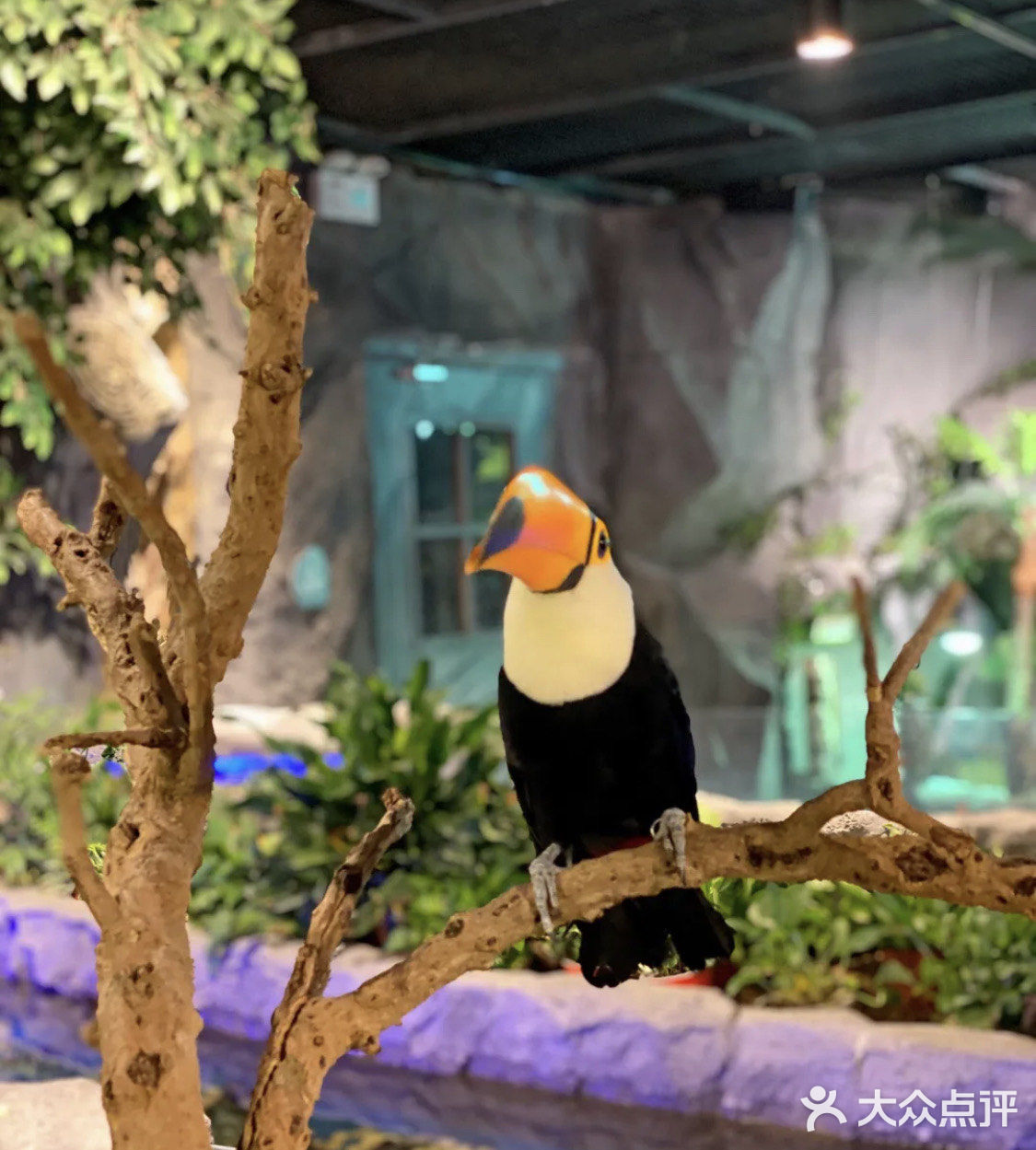 🔥爆魔都的遛娃胜地！快来打卡吧！