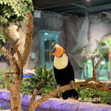 🔥爆魔都的遛娃胜地！快来打卡吧！