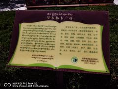 -罗布林卡