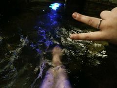 -泉城欧乐堡戏水湾艺术养生温泉