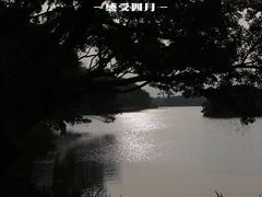 -江心屿景区