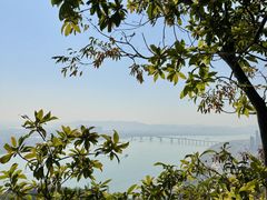 -羚羊峡古栈道森林公园