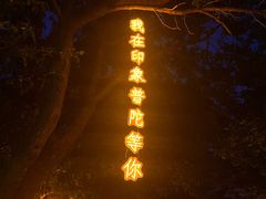 -印象普陀