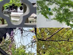 -西园戒幢律寺