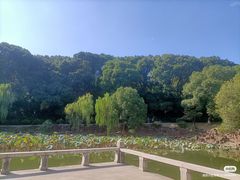 -灵岩山风景区