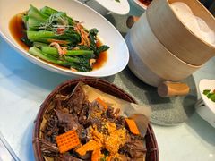 -北京老铺烤鸭(高新店)