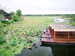 -上海海湾国家森林公园