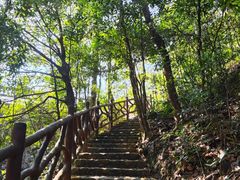 -广州市石门国家森林公园