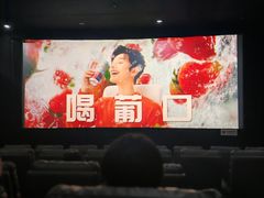 -华美影城(马栏广场店)
