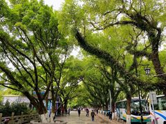 -桂林两江四湖景区