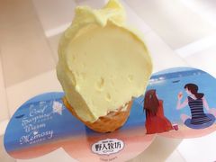 -野人先生现做冰淇淋(北京环宇荟店)