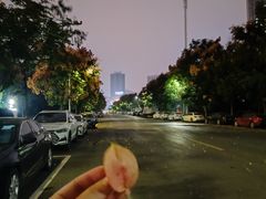 -墨宴(西洋湖店)