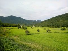 -塔川景区