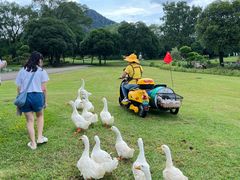 -Club Med地中海俱乐部·桂林度假村