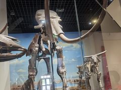 -国家自然博物馆