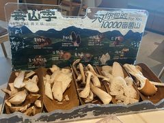 -芸山季·云南山珍菌火锅(南翔印象城MEGA店)