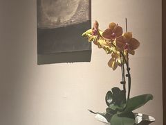 -九月里.自由花园餐厅