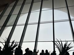 -抱抱地球咖啡馆(国家海洋博物馆店)
