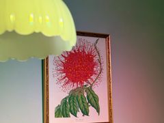 -古董花园