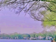 -颐和园
