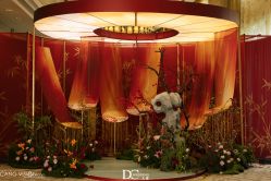 -DC大蔡婚礼策划(李公堤店)
