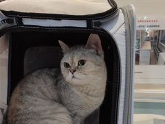 -纳吉亚猫专科动物医院·北北分院