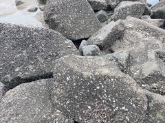 -南澳海滩