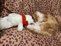 -半天妖烤鱼(方庄店)