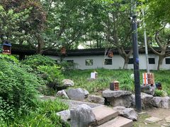 -运河游船(武林门码头)