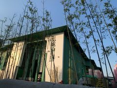 -杭州观成实验学校