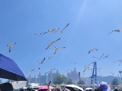 -星海广场