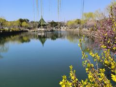 -无锡蠡湖国家湿地公园-蠡园