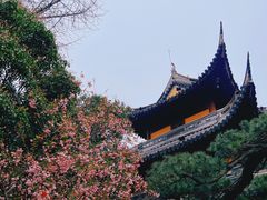 -龙华寺
