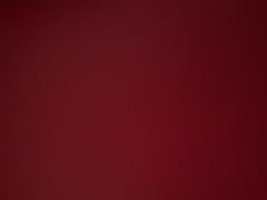 -龙景轩大酒店(宝杨路店)