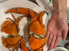 -大东海海鲜酒楼(渔人码头总店)