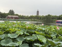 -西海子公园