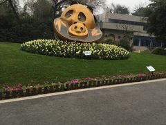 -成都大熊猫繁育研究基地