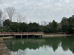 -桃花岭景区