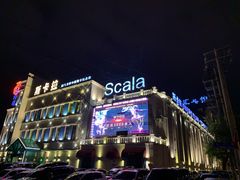 -斯卡拉演艺集团