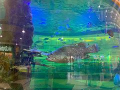 -尚泰清迈机场购物中心