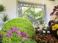 -杭州植物园