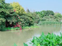 -海珠湖公园