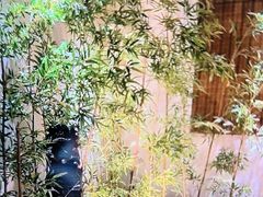 -西郊竹园甲鱼面(老一中店)