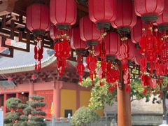 -上海东林寺(金山区)