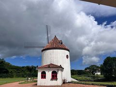 -济州森林小火车生态公园
