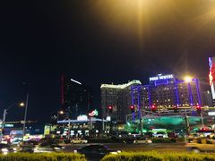 -拉斯维加斯O秀