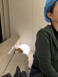 -上海时光整形外科医院